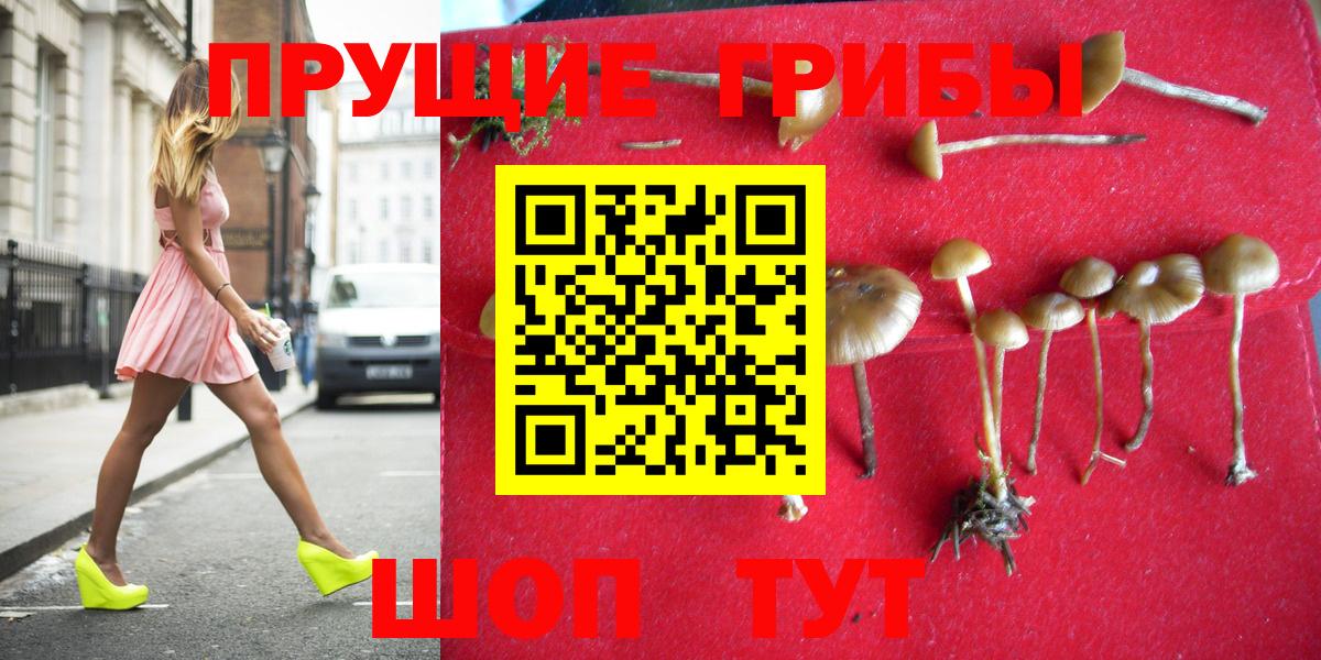Галлюциногенные грибы Cubensis  Вход с VPN  Обь 
